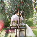 스튜디오위미리 이미지