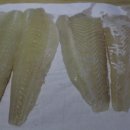 광어한마리 이미지