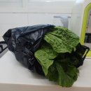 채희농장 이미지