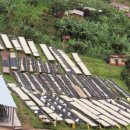 아시아엔 | 르완다 커피 (로우키 251121)