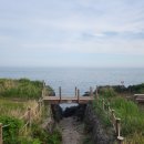 하귀바다 | 제주 하귀애월해안도로 10km 러닝 후기 – 아침 바다와 함께한 심박수 존3·존4 러닝