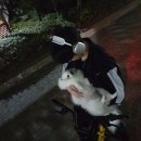 영통동 이미지