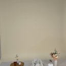 중랑 | 아기 백일사진 선인장사진관 중랑점 후기