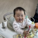 서귀중기 | 벌써 꿈처럼 느껴지는 제주살이 💙 10개월 아기랑 제주도 여행 🫧 시간이 참 빠르게 흘러간다