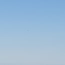 빨간바다 이미지