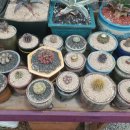 (주)메디비아 이미지