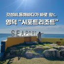 영덕, 가성비 좋은 오션뷰 가족리조트 추천 시포트리조트