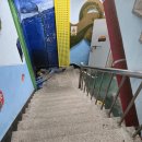 중앙시장 어울림센터 | 강릉중앙시장 수산물센터 후기 🐟｜강원FC 원정 전 필수 코스