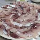 고니민박 이미지