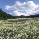 경포팜