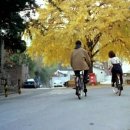 북경반점 이미지