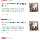 쿤광고 네이버블로그