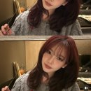 (주)레드오렌지 이미지