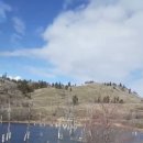 Rose's Pond 이미지