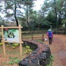 오조리-2 이미지