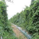 세근농장 이미지