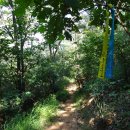 원주굽이길 1코스 배부른산길 이미지