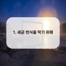 바른이치치과의원 이미지
