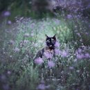 봄여름가을 이미지