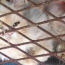 이종덕농장 이미지