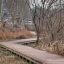 함안 대송리 늪지식물 이미지