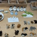 세림약국 이미지