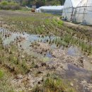 구봉산북로 이미지