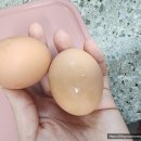 생담원