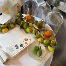 부영농장3 이미지