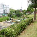 포항시북구8 이미지