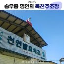 옥천 | 해남 옥천주조장 방문 솔직 후기와 내돈내산 추천상품
