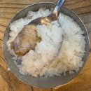 미숙이네생선조림 | 강화도 현지인 맛집 <갯배생선구이> 배 터지고 온 날~