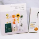 알프츠