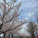 속초사잇길 제1길 이미지