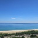 망상비치호텔 이미지