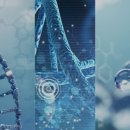 엠메디 주식회사 이미지