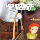 메리다 패밀리 리페어 이미지