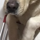 (주)봉우화로 이미지