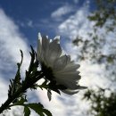 구암동541 이미지