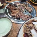 신사동 숯불갈비 | 고기로 배를 채웠던 신사동 숯불 갈비 내돈내산 후기