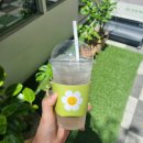 스테이이루카 | 열세번째 기록