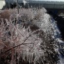 사오농장 이미지