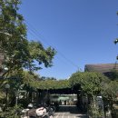 MEMBERSHIP POOL(멤버십풀) | 태국 여행 ep.10 치앙마이 루퍼 스위밍풀 야외 수영장 추천 후기