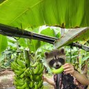 하누농장 이미지