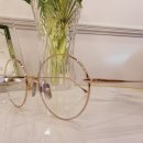 프렛(FRAT)안경원 이미지