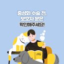 배곧도담동물병원 이미지