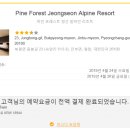 황철수피자공도점 | 즐거운 정선여행 &#39;파인포레스트 ♪&#39;[2019.4.24~2019.4.26]