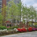 e편한세상옥정메트로포레아파트 이미지