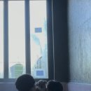 태안 알로하오에 애견풀빌라 | 태안, 알로하오에 애견풀빌라 방문 후기