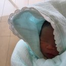 나비야 스튜디오 | 봄빛조리원 2관 후기(특실, 식사, 프로그램, 마사지)